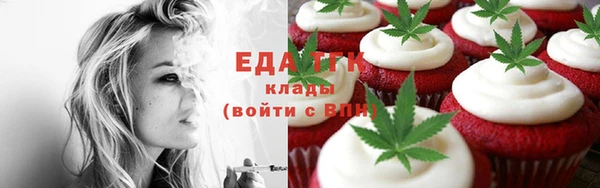 крисы Шали