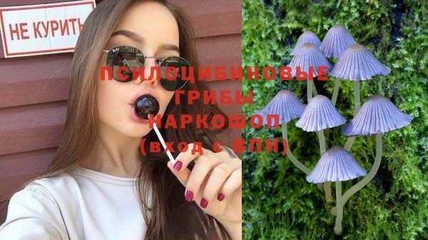 героин Горняк