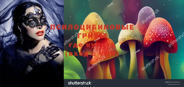 mix Шадринск