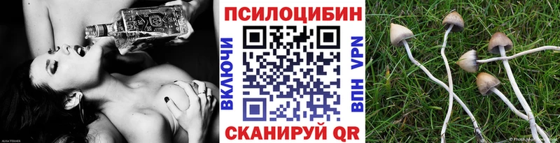 Псилоцибиновые грибы прущие грибы  MEGA ссылки  Анадырь 